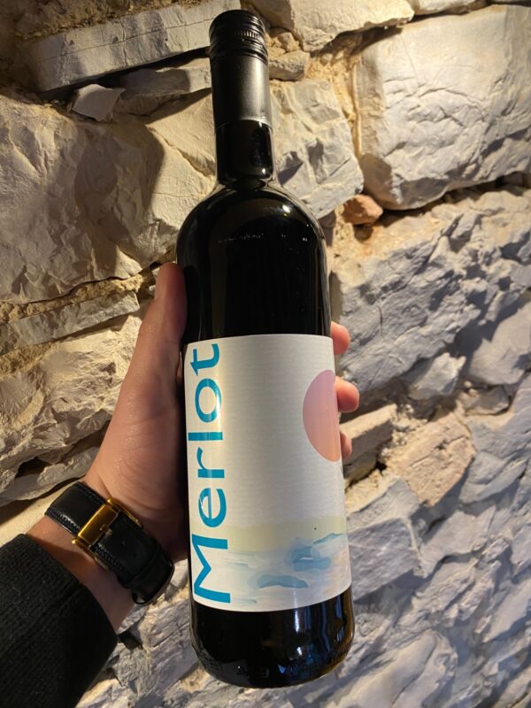Vászolyi Merlot