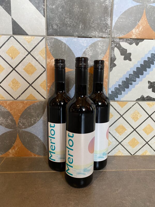 Vászolyi Merlot